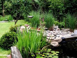 54_gartenteich